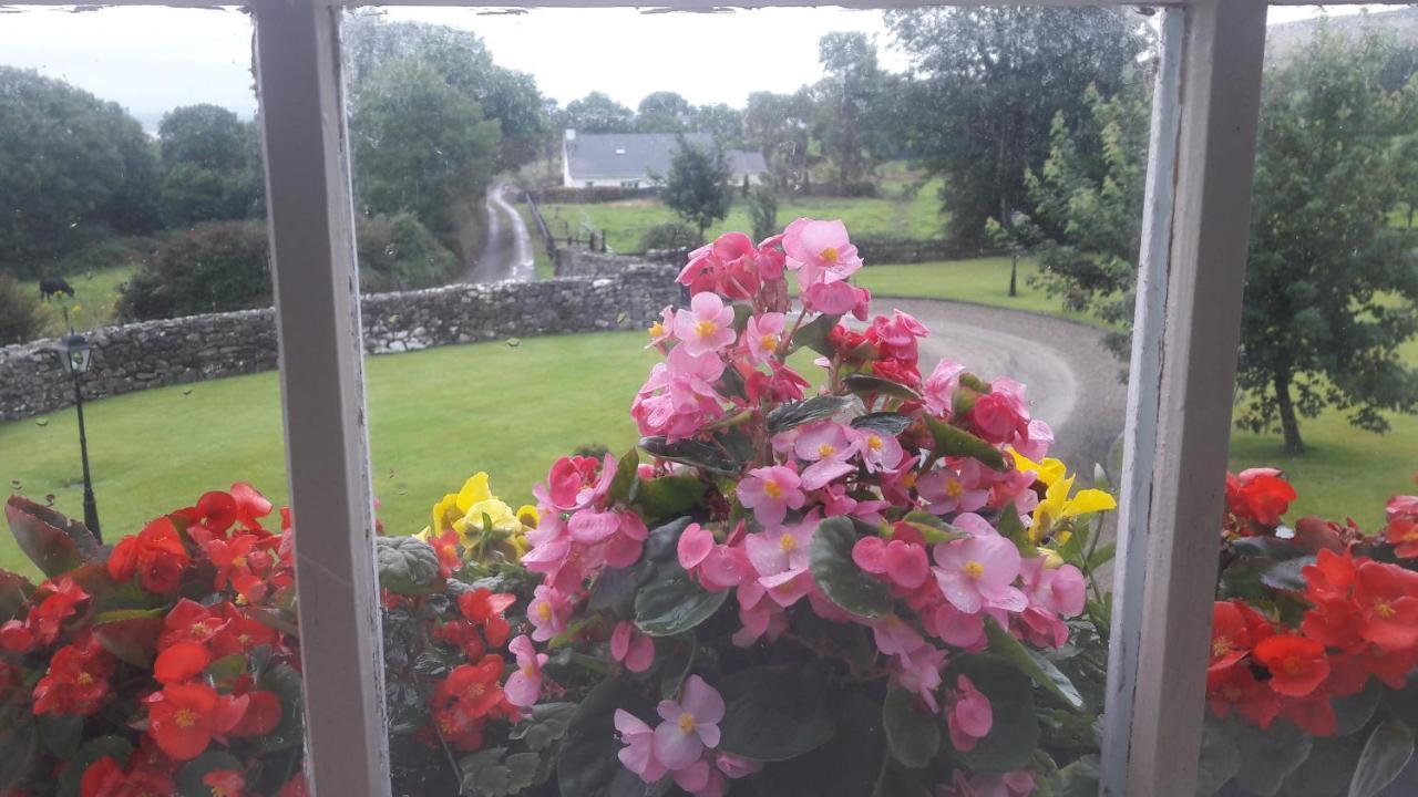 Bealkelly Country House Killaloe Buitenkant foto