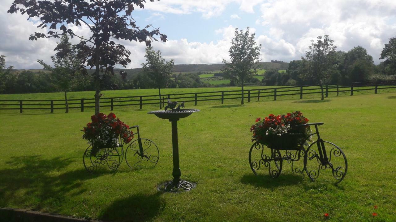 Bealkelly Country House Killaloe Buitenkant foto